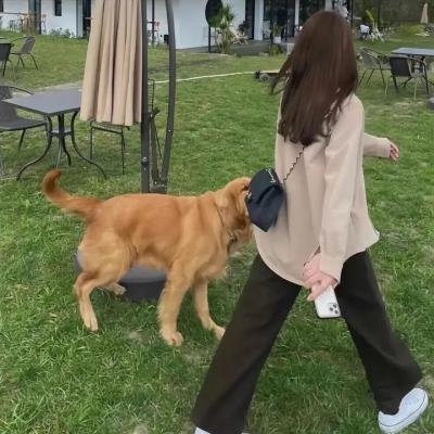 拿坡里黄金